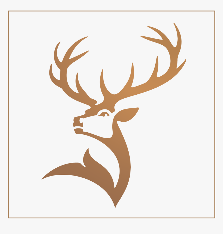 brand-image